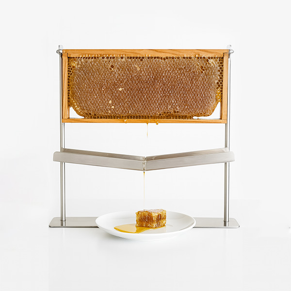Favo-de-Mel-BeeFreeBio